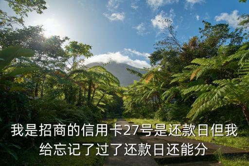 我是招商的信用卡27號是還款日但我給忘記了過了還款日還能分