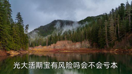光大活期寶有風(fēng)險(xiǎn)嗎會(huì)不會(huì)虧本