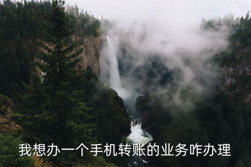 我想辦一個手機(jī)轉(zhuǎn)賬的業(yè)務(wù)咋辦理