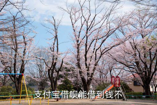 支付寶借唄能借到錢不