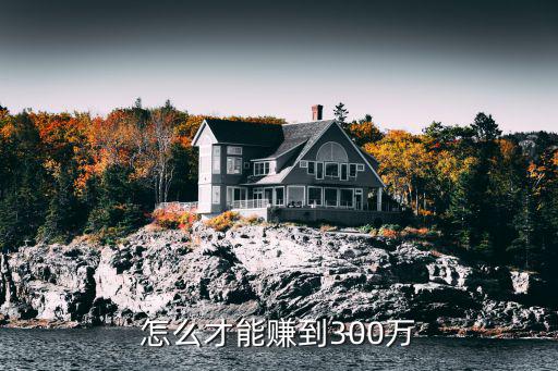 怎么用30萬(wàn)賺到300萬(wàn)，怎么才能賺到300萬(wàn)