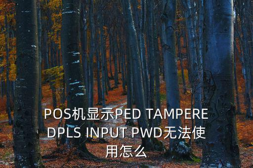pos機用不了怎么辦理信用卡，pos機可以辦信用卡嗎