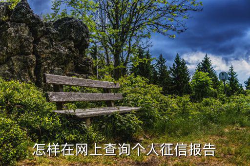 怎樣在網(wǎng)上查詢個(gè)人征信報(bào)告