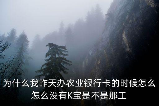 注冊(cè)農(nóng)行沒有k寶怎么辦，農(nóng)業(yè)銀行個(gè)人網(wǎng)銀上不去沒有K寶怎樣上去