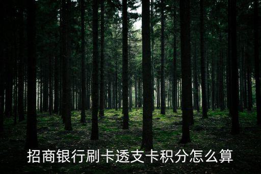 招商銀行刷卡透支卡積分怎么算