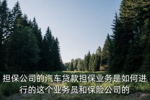 擔(dān)保公司的汽車貸款擔(dān)保業(yè)務(wù)是如何進(jìn)行的這個業(yè)務(wù)員和保險公司的