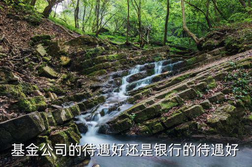 基金公司的待遇好還是銀行的待遇好