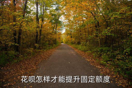 花唄怎么漲固定額度，花唄怎么提額快臨時(shí)額度有什么用可以提升固定額度嗎
