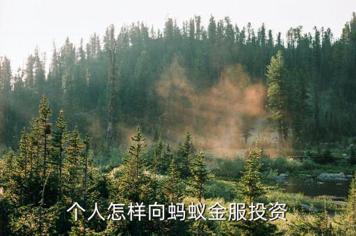 個人怎樣向螞蟻金服投資