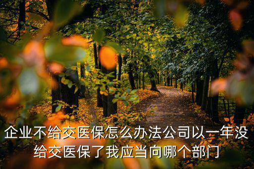 企業(yè)不給交醫(yī)保怎么辦法公司以一年沒給交醫(yī)保了我應當向哪個部門