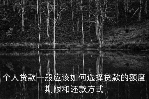 個(gè)人貸款一般應(yīng)該如何選擇貸款的額度期限和還款方式
