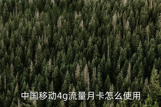 中國移動(dòng)4g流量月卡怎么使用