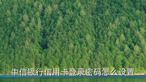 中信銀行信用卡登錄密碼怎么設置