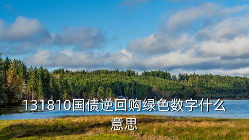 131810逆回購(gòu)怎么回事，為什么國(guó)盛證券131810逆回購(gòu)顯示的居然是買(mǎi)