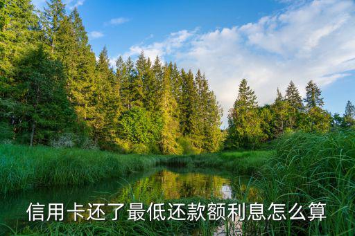 信用卡還了最低還款額利息怎么算