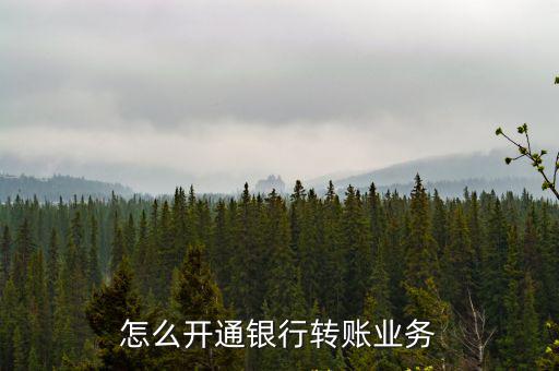 怎么開通銀行轉(zhuǎn)賬業(yè)務(wù)