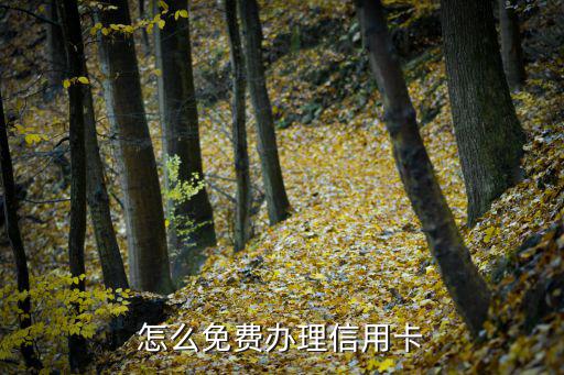 怎么免費辦信用卡申請，怎么免費辦理信用卡