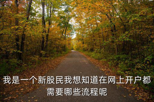 我是一個(gè)新股民我想知道在網(wǎng)上開戶都需要哪些流程呢