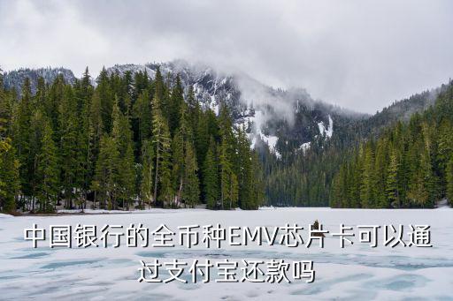 中行全幣種emv怎么結(jié)算，中國銀行的全幣種EMV芯片卡可以通過支付寶還款嗎