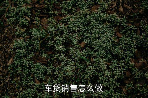 車貸業(yè)務(wù)員怎么玩業(yè)務(wù)，車貸銷售怎么做