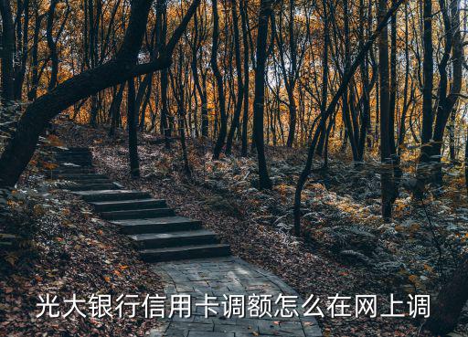 光大官網(wǎng)怎么調(diào)額度，光大信用卡如何在官方網(wǎng)上操作提額呢