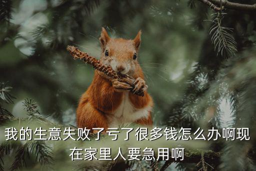 我的生意失敗了虧了很多錢怎么辦啊現(xiàn)在家里人要急用啊