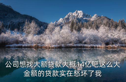 公司想找大額貸款大概14億吧這么大金額的貸款實在愁壞了我