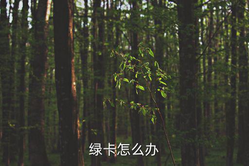招行運(yùn)通綠卡 怎么辦，綠卡怎么辦
