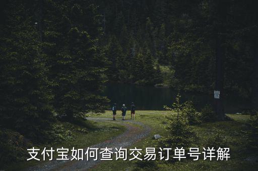 支付寶如何查詢交易訂單號(hào)詳解