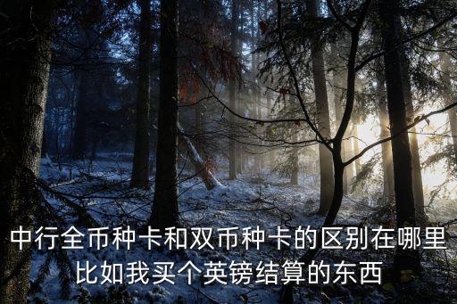 中行全幣種卡和雙幣種卡的區(qū)別在哪里比如我買個(gè)英鎊結(jié)算的東西