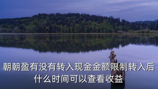 朝朝盈有沒(méi)有轉(zhuǎn)入現(xiàn)金金額限制轉(zhuǎn)入后什么時(shí)間可以查看收益