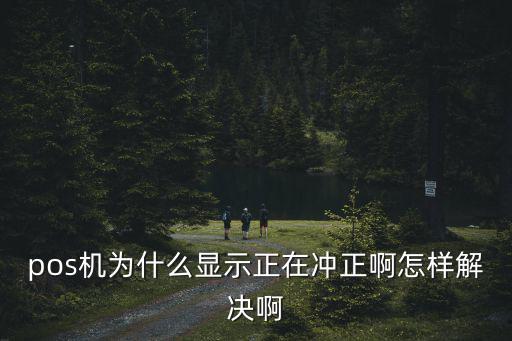 pos機(jī)為什么顯示正在沖正啊怎樣解決啊