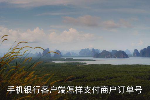 支付訂單號(hào)怎么支付，手機(jī)銀行客戶端怎樣支付商戶訂單號(hào)