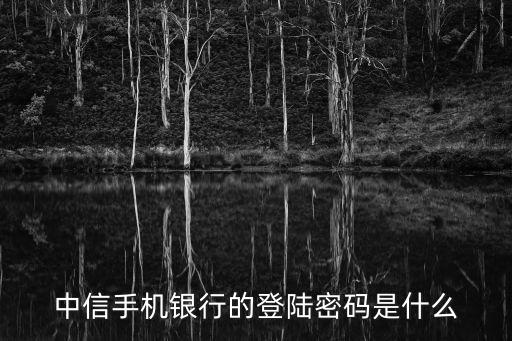 中信信用卡怎么登錄密碼是什么，請問我的中信信用卡怎么設(shè)置密碼