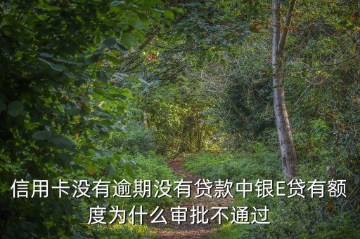 信用卡沒(méi)有逾期沒(méi)有貸款中銀E貸有額度為什么審批不通過(guò)