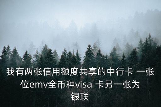 我有兩張信用額度共享的中行卡 一張位emv全幣種visa 卡另一張為銀聯(lián)