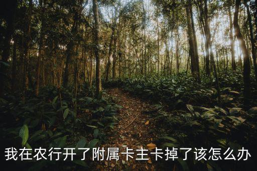 主卡掛失附屬卡怎么辦，招商信用卡主卡掛失后附卡還能用嗎