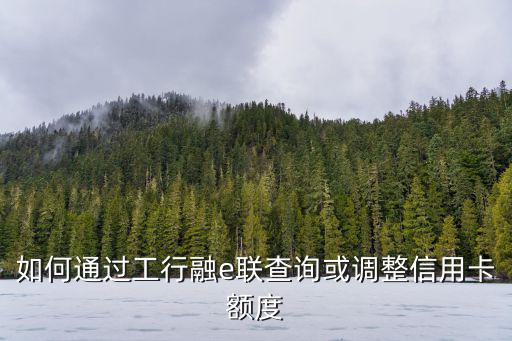app工行融e限額怎么改，工行信用卡額度3000融e借總額度6000為什么不能調(diào)整額度