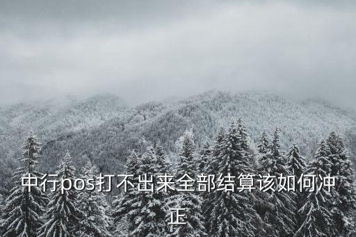 中行pos打不出來(lái)全部結(jié)算該如何沖正