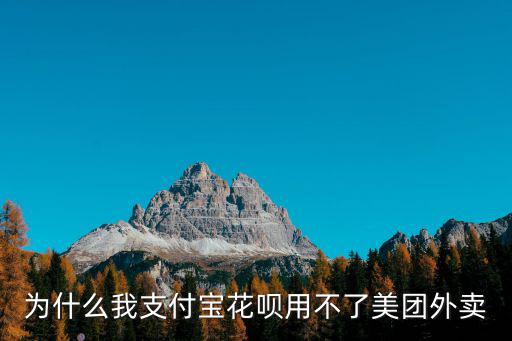 為什么我支付寶花唄用不了美團外賣