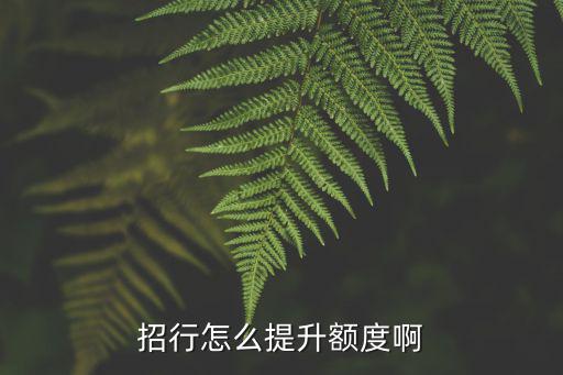 招行怎么提升額度啊