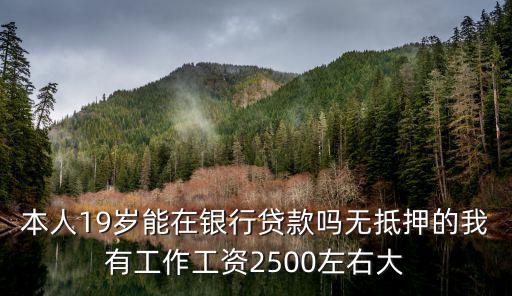 19歲怎么貸30000，我今年十九周歲在什么地方可以貸款貸出三到五萬元