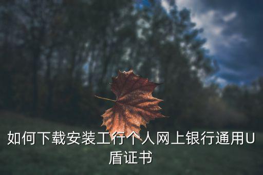 如何下載安裝工行個(gè)人網(wǎng)上銀行通用U盾證書(shū)