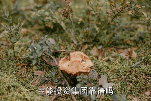 之寶投資有限公司怎么樣，寶能投資集團(tuán)怎么樣