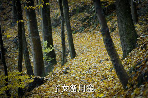 備用金怎么說，借備用金的摘要怎么寫