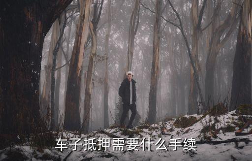 抵押新車需要什么手續(xù)怎么辦，車子抵押貸款需要什么手續(xù)