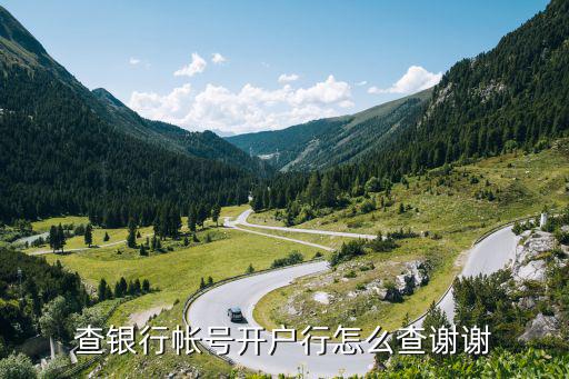 查銀行帳號(hào)開(kāi)戶行怎么查謝謝