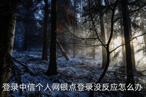 中信信用卡怎么登不上，中信銀行個人網(wǎng)上銀行登錄不了