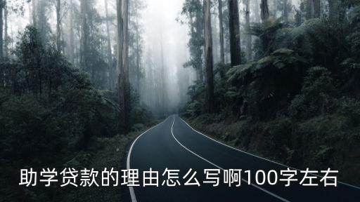 助學(xué)貸款的理由怎么寫啊100字左右