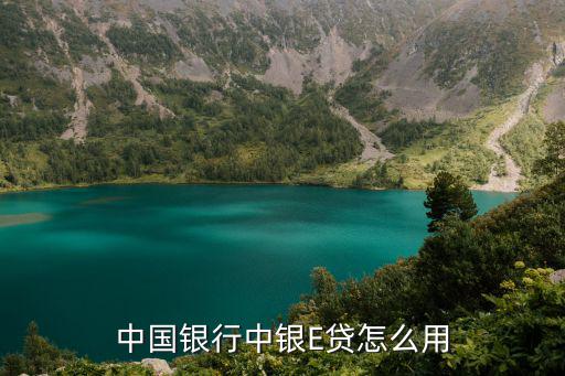 中銀e貸 江西怎么用，中國(guó)銀行網(wǎng)銀和手機(jī)銀行里中銀E貸支付功能設(shè)置是做什么用的